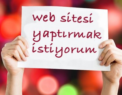 profesyonel web sitesi yaptırmak istiyorum