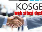 kosgeb web sitesi desteği
